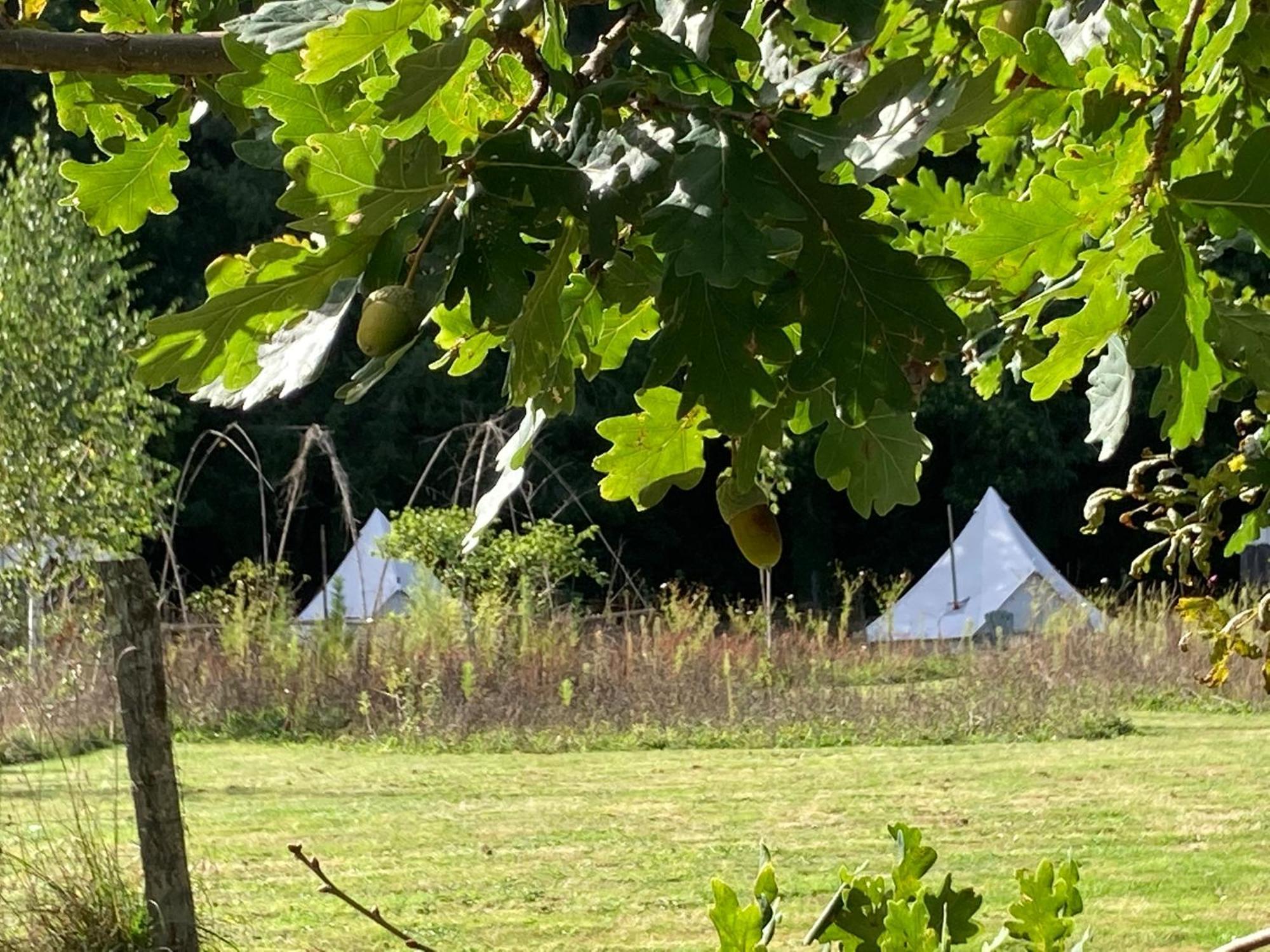 Hotel Au Pre Fleuri Eco Glamping à Le Lindois Extérieur photo
