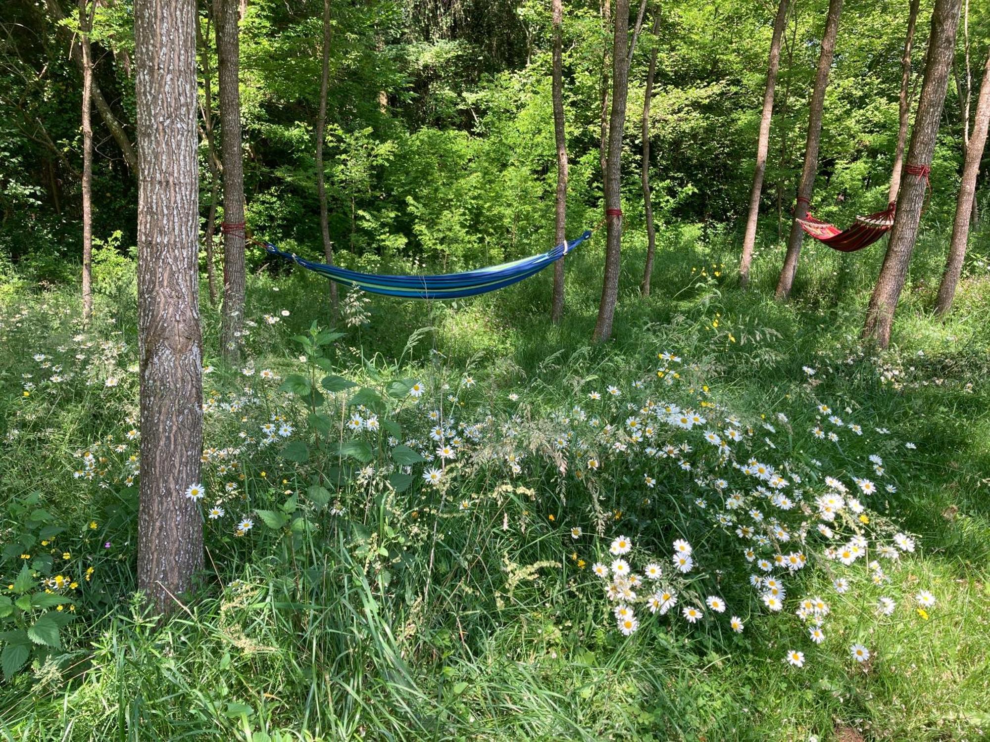Hotel Au Pre Fleuri Eco Glamping à Le Lindois Extérieur photo